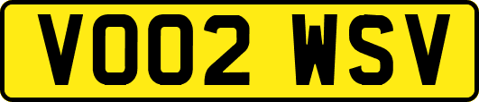 VO02WSV