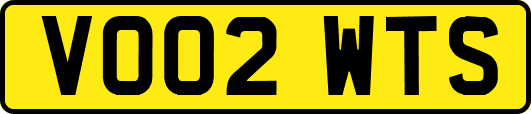 VO02WTS
