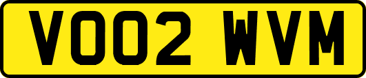 VO02WVM