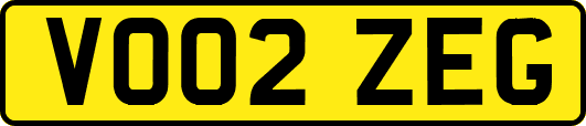 VO02ZEG