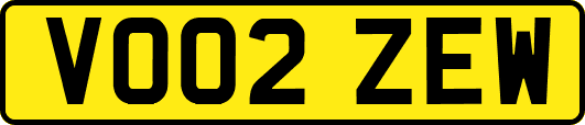 VO02ZEW