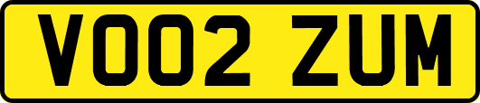 VO02ZUM