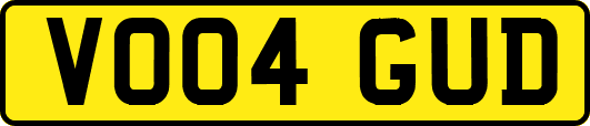 VO04GUD