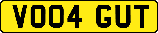 VO04GUT
