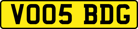 VO05BDG
