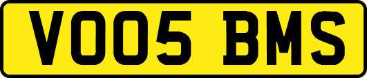 VO05BMS