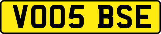 VO05BSE