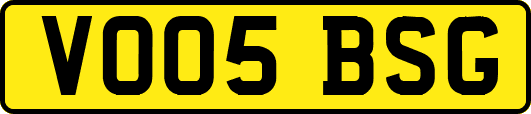 VO05BSG