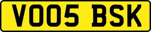 VO05BSK