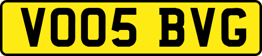 VO05BVG