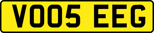 VO05EEG