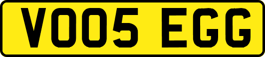 VO05EGG