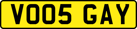 VO05GAY