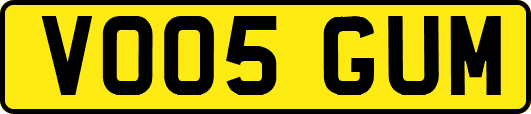 VO05GUM