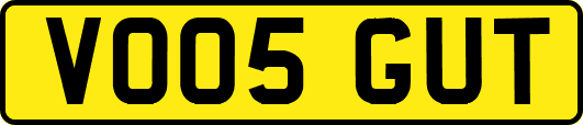 VO05GUT