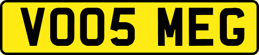 VO05MEG