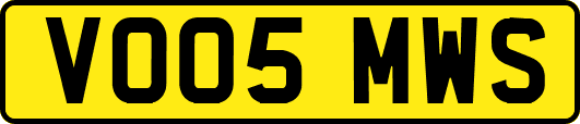 VO05MWS
