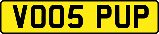 VO05PUP