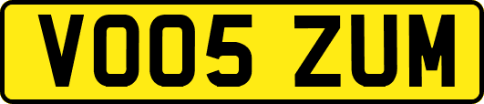 VO05ZUM