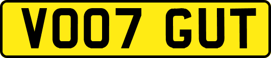 VO07GUT