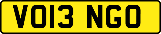 VO13NGO