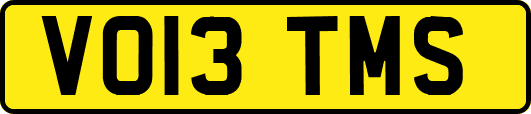 VO13TMS