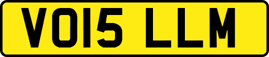 VO15LLM