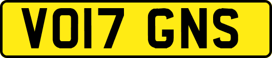 VO17GNS