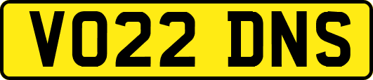 VO22DNS
