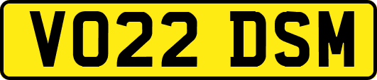 VO22DSM