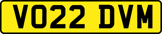 VO22DVM