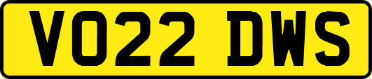 VO22DWS