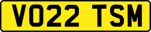 VO22TSM