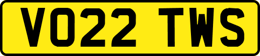 VO22TWS