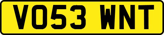 VO53WNT