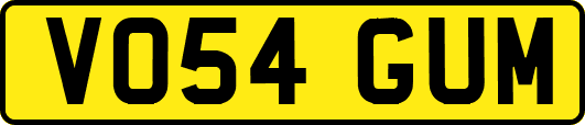 VO54GUM