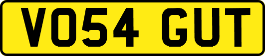 VO54GUT