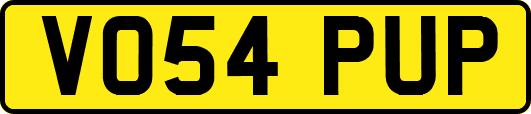 VO54PUP