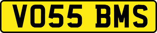 VO55BMS