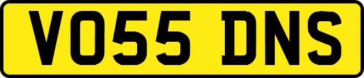 VO55DNS