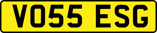 VO55ESG