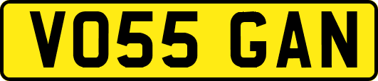 VO55GAN