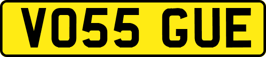 VO55GUE