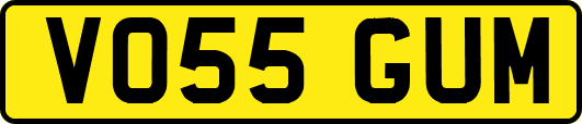VO55GUM