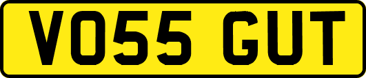 VO55GUT