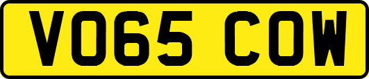 VO65COW