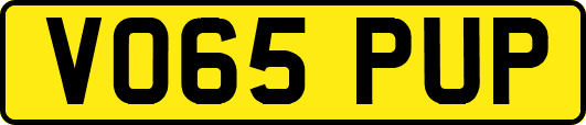 VO65PUP