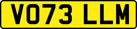 VO73LLM