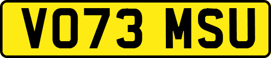 VO73MSU