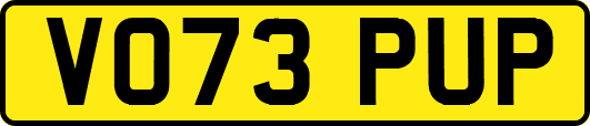 VO73PUP